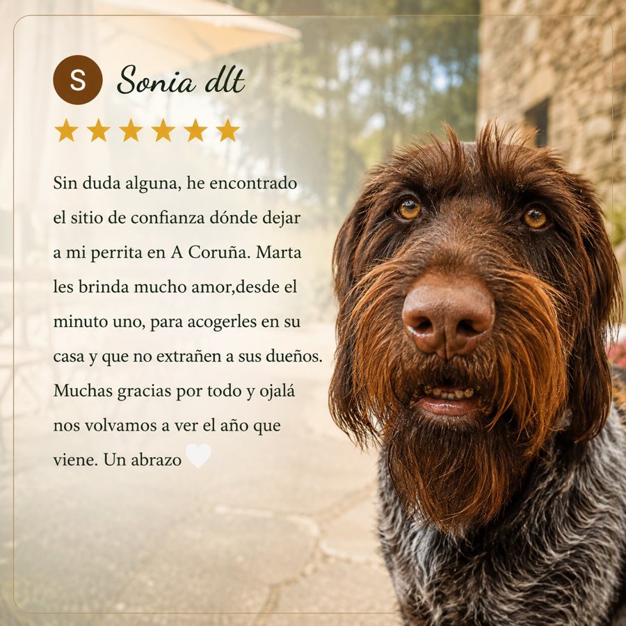 Reseña dun cliente de O Mestre do Can