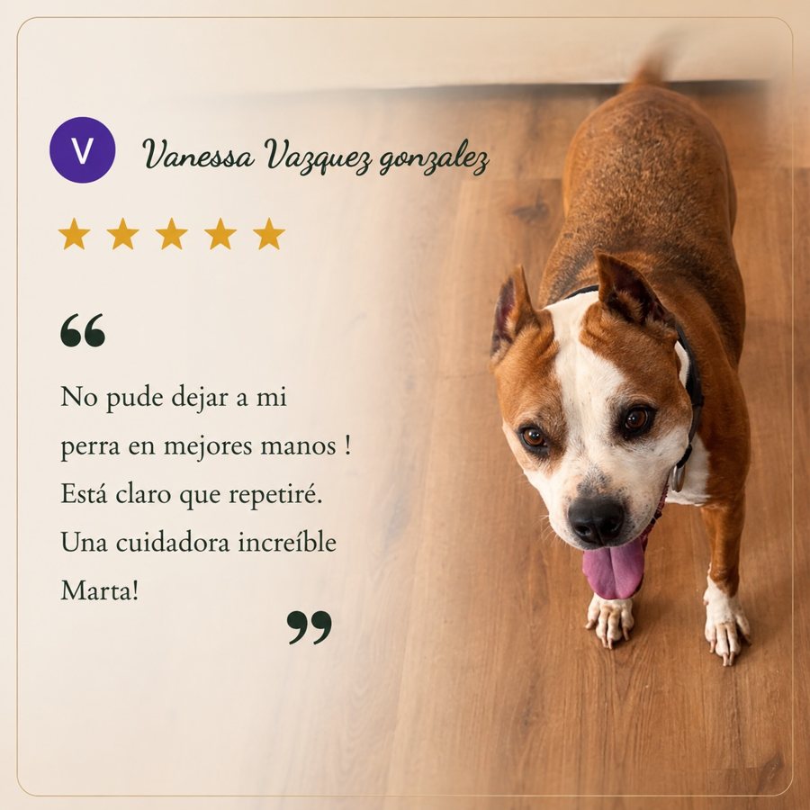 Reseña dun cliente de O Mestre do Can
