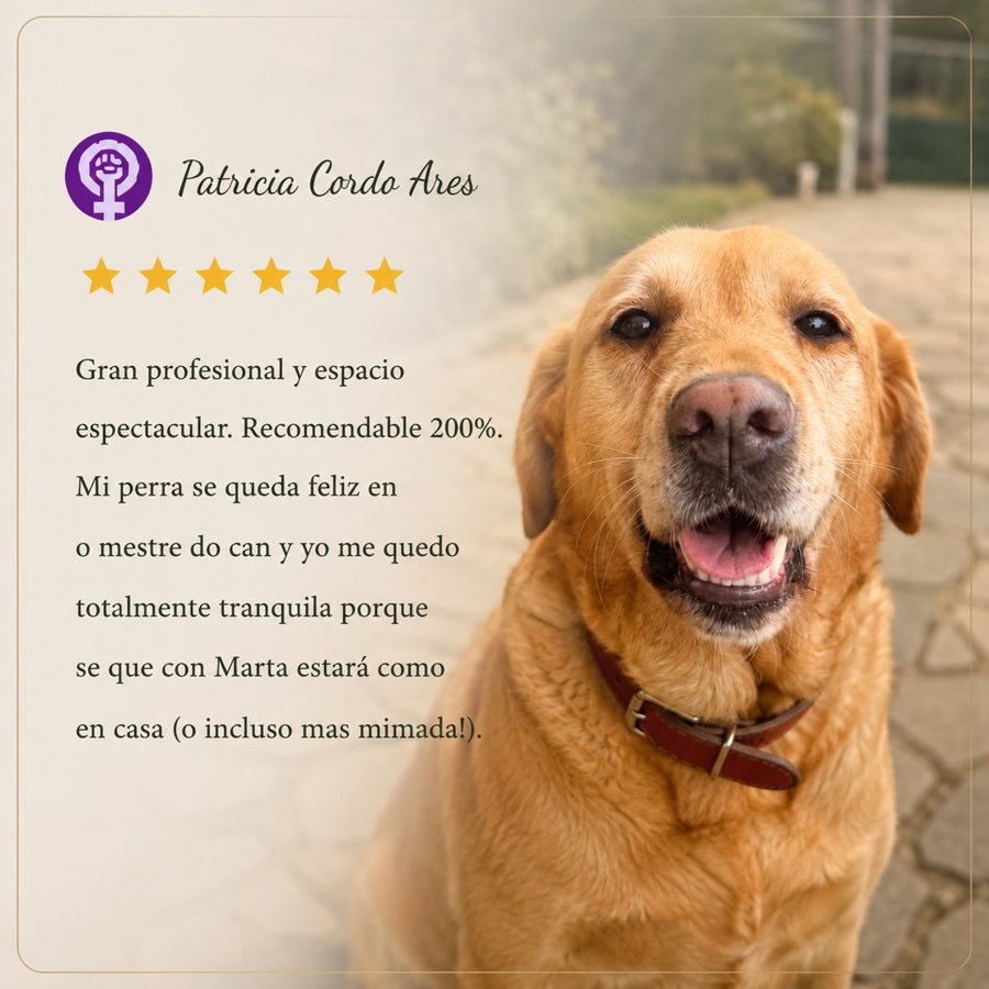 Reseña dun cliente de O Mestre do Can