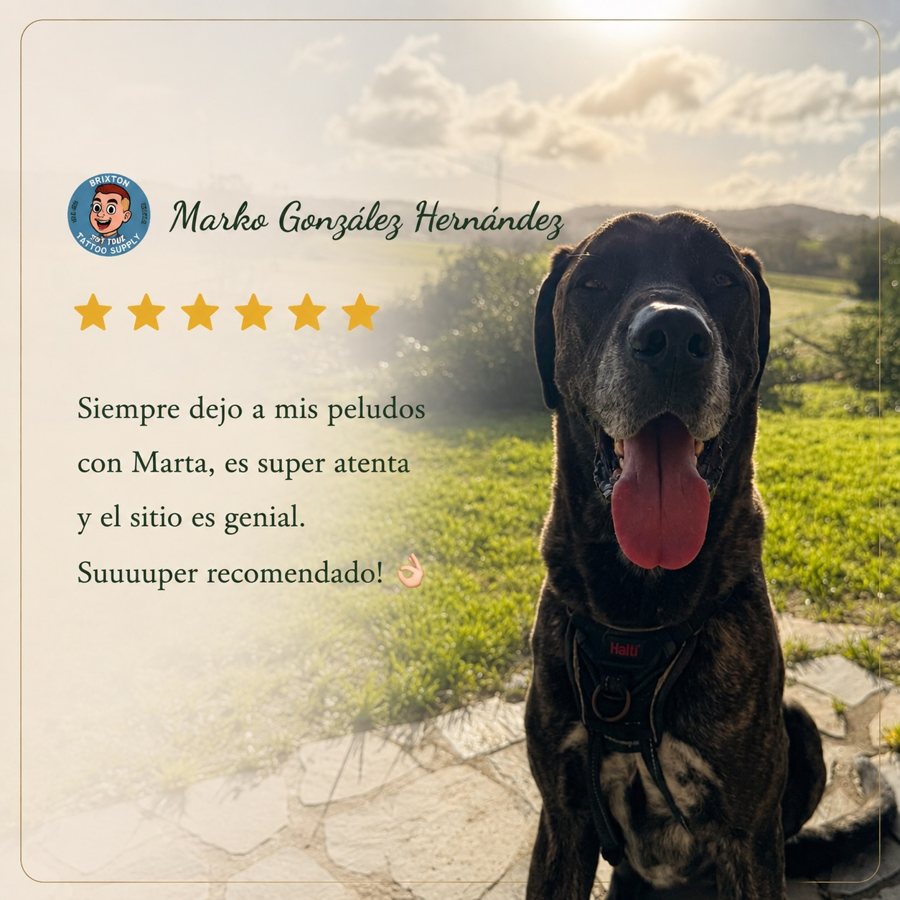 Reseña dun cliente de O Mestre do Can